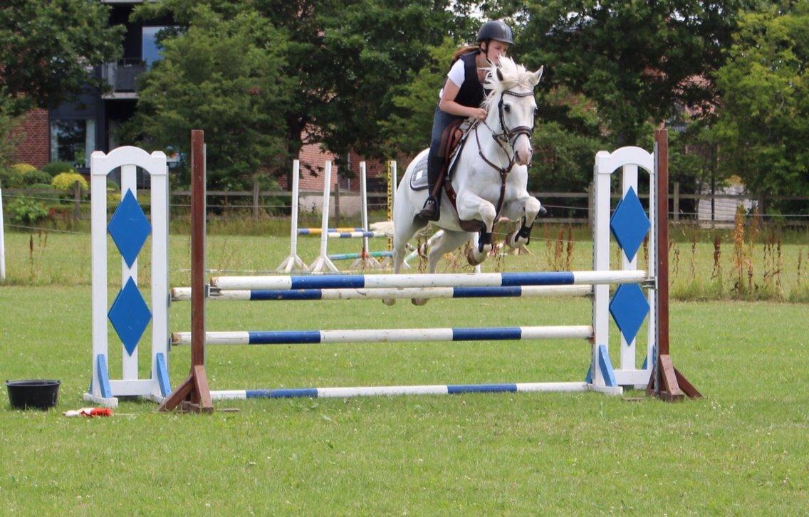 Anden særlig race Silver <3  - Lidt træning på bassen :-) <3 billede 5