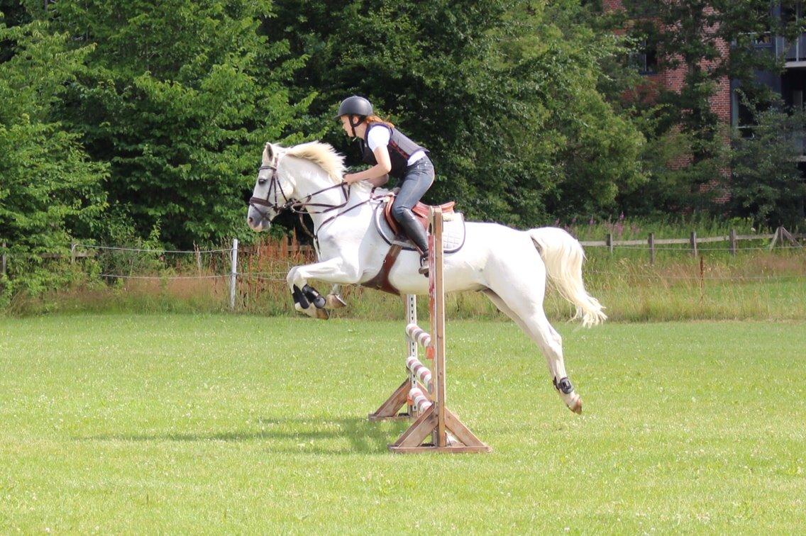 Anden særlig race Silver <3  - Lidt træning :)  billede 6