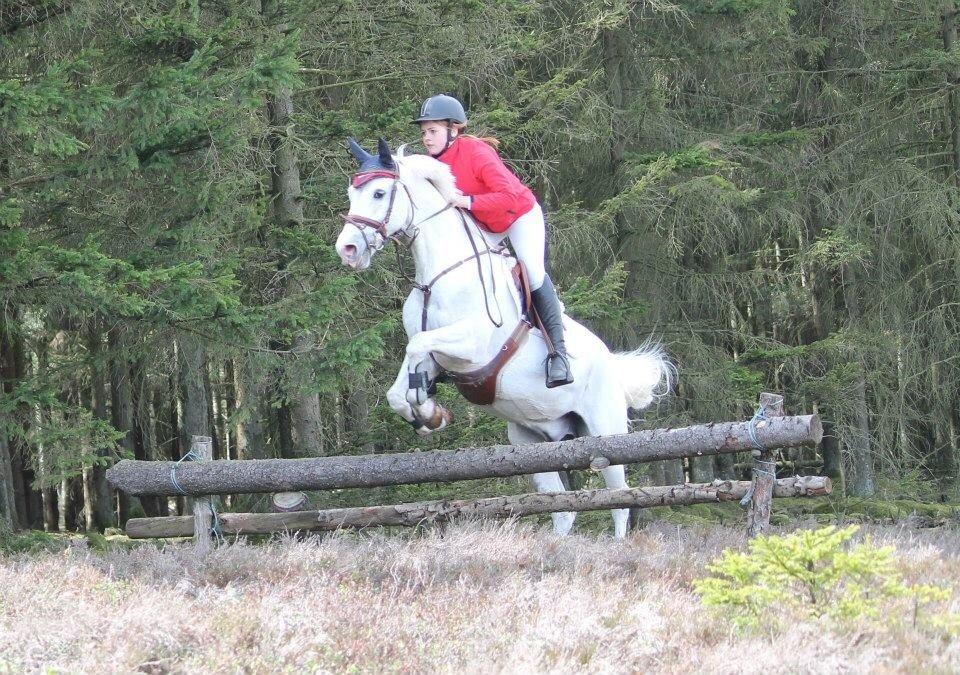 Anden særlig race Silver <3  - Silver og jeg til jagt i Gludsted Plantage! :-) Silver elsker det, men nøj hvor kan han være svær at holde når der løber heste foran ham :P  billede 9