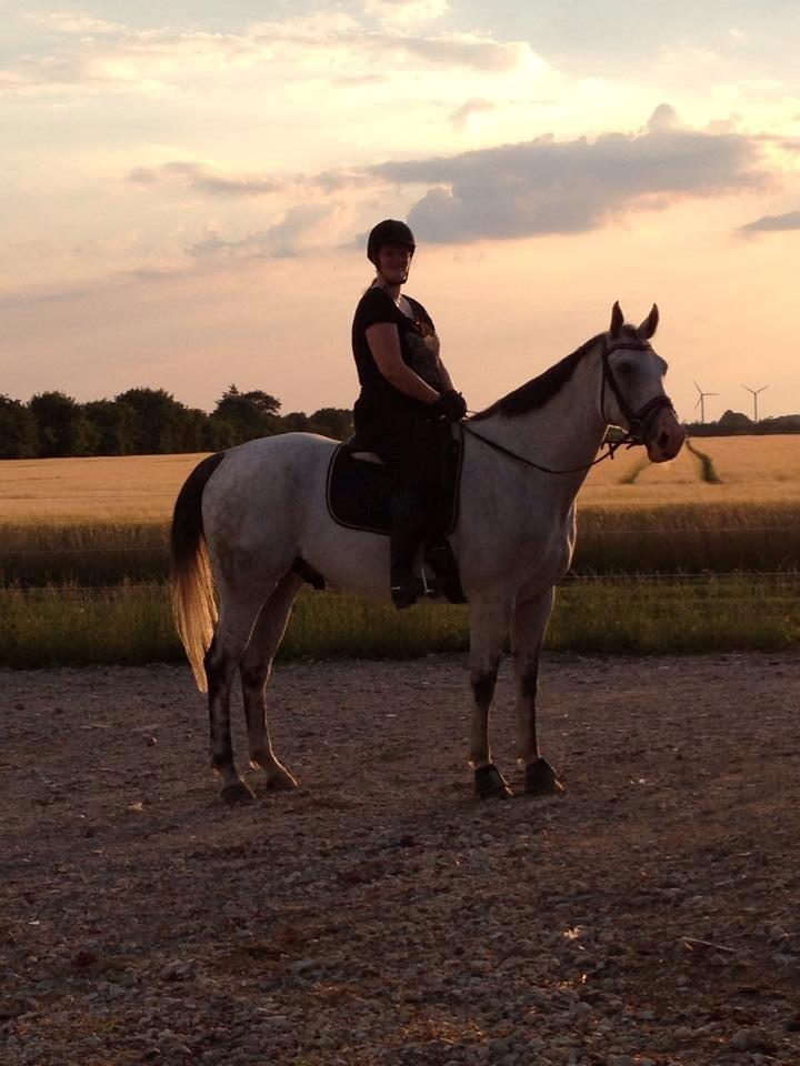 Holstener Fruerholm's Adonis *For Evigt Elsket <3* - Lækkert solnedgangs billede :) billede 40