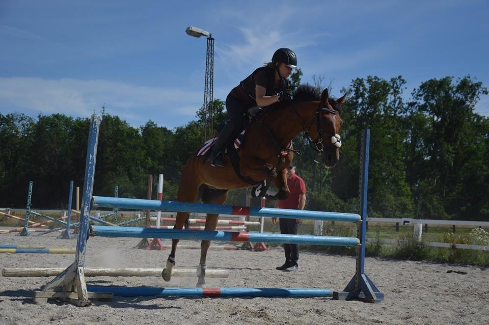 Anden særlig race Thor:) billede 19