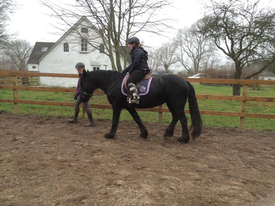 Frieser Enja billede 24