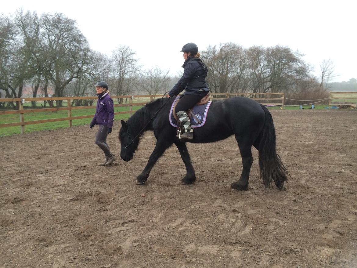 Frieser Enja billede 23