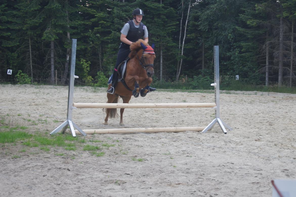 Anden særlig race Rosa - Min Stjerne! billede 33
