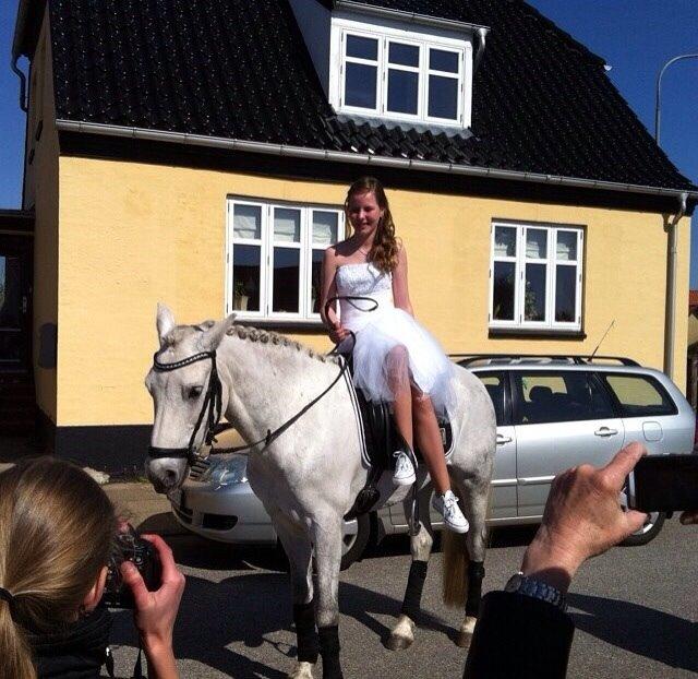 Connemara Roney billede 7