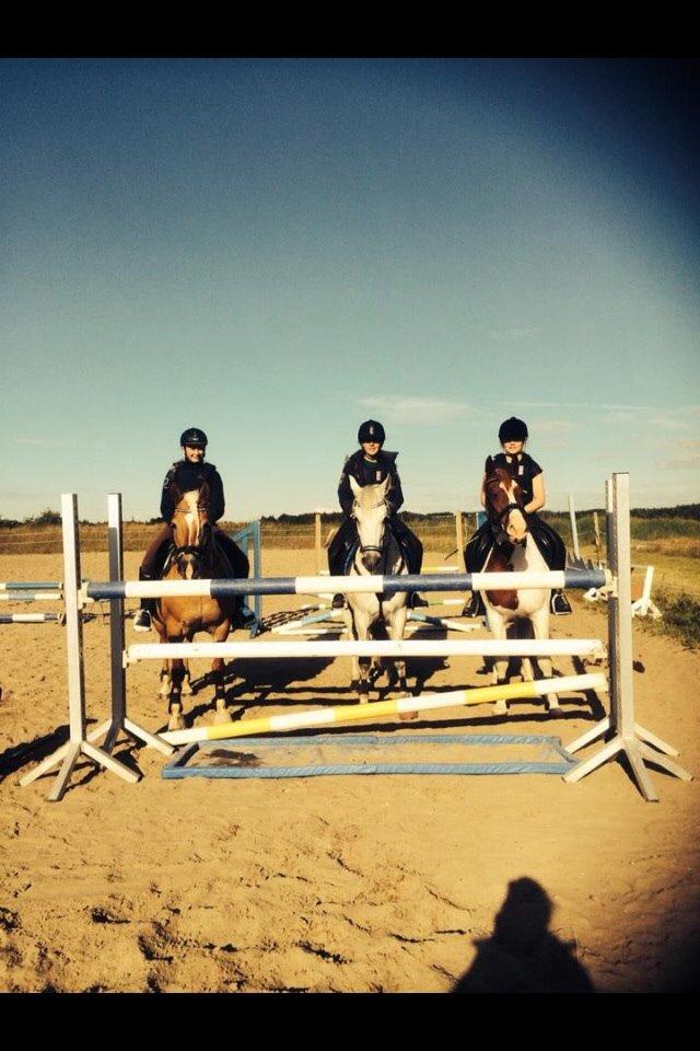 Connemara Roney billede 8