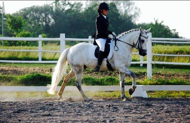 Connemara Roney billede 14