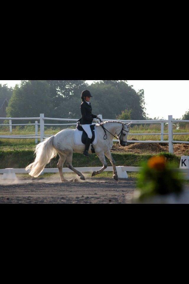 Connemara Roney billede 15