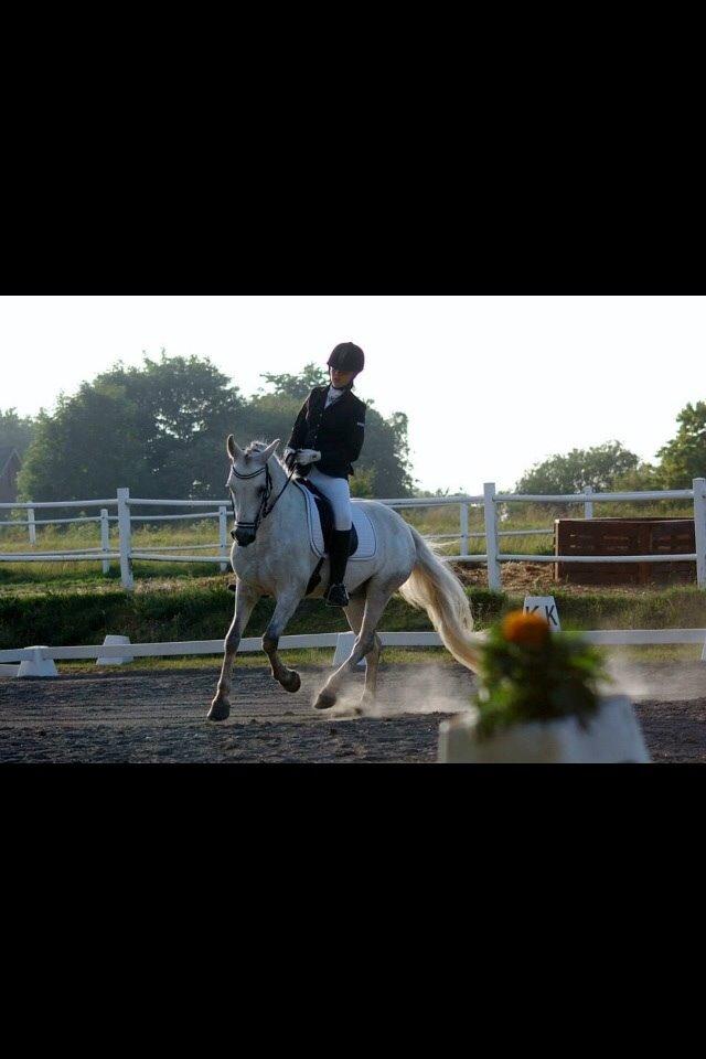 Connemara Roney billede 16