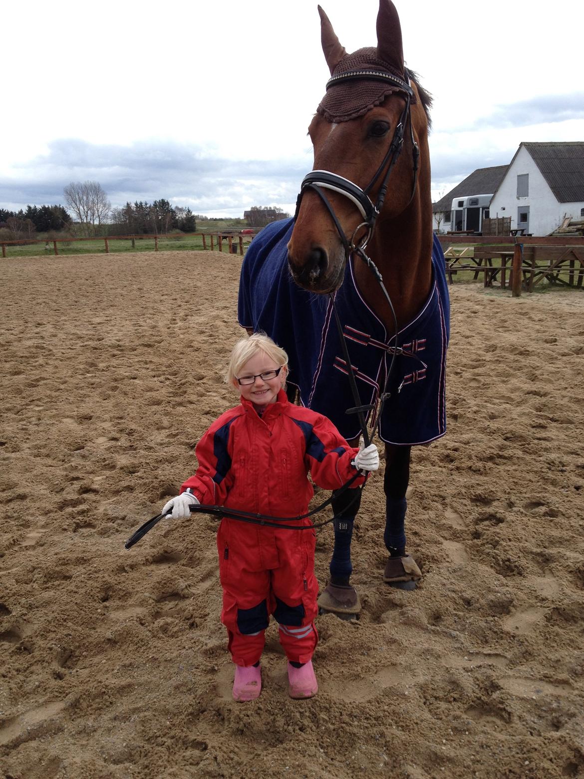 Tysk Varmblod ·~•Luca IV~DRØMMEHESTEN•~· billede 17