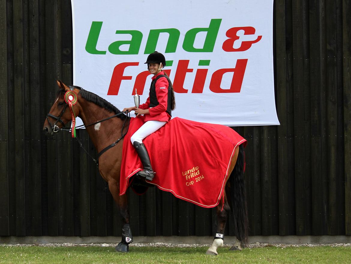 Tysk Varmblod ·~•Luca IV~DRØMMEHESTEN•~· - Vandt Land og fritid cuppen 2014! billede 22