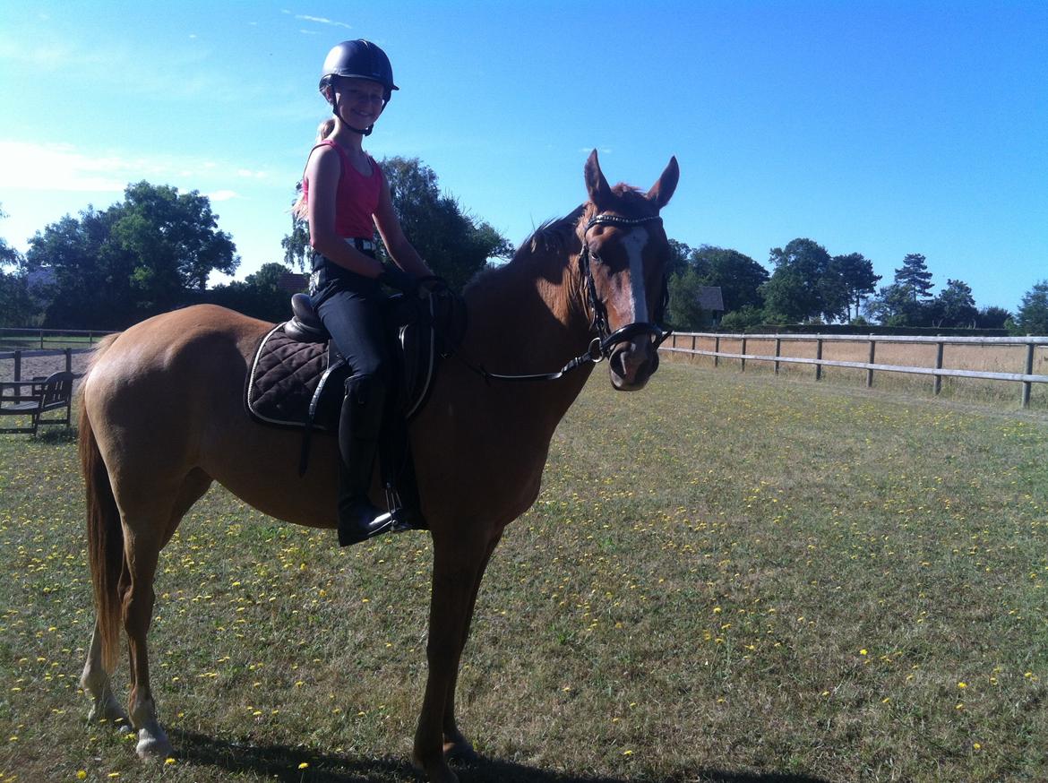 DSP RS Private Dancer - SOLGT billede 11