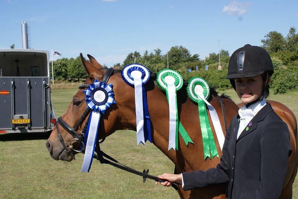 DSP Røgild's Bastian - Rebild LB cup 2. plads 2014 billede 6