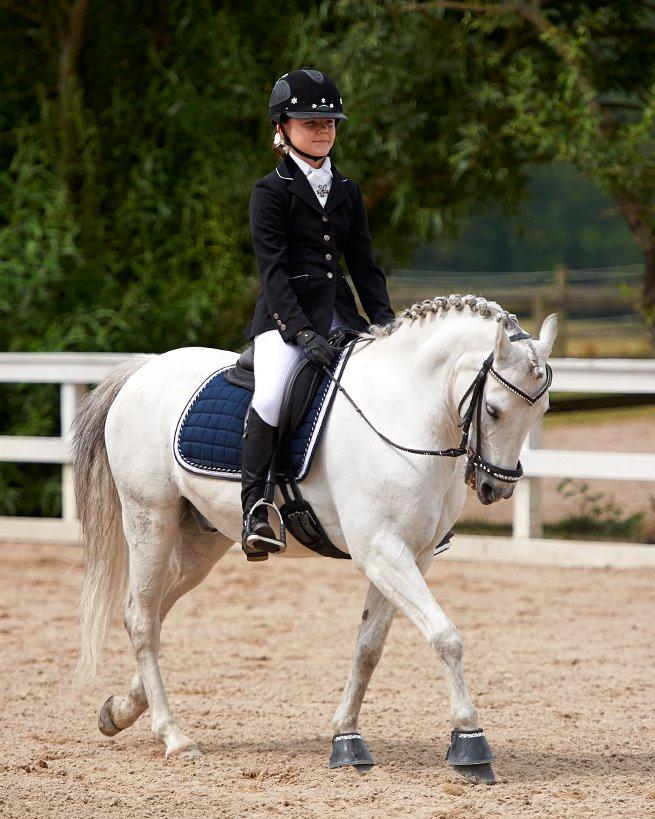 Welsh Pony (sec B) Korreborgs Sanitto billede 10