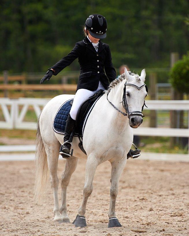 Welsh Pony (sec B) Korreborgs Sanitto billede 14