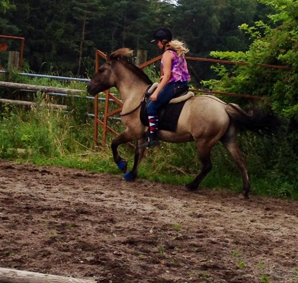 Anden særlig race Topper fra møllegaarden "lånepony" - verdens bedste 3 års <3 <3  billede 9