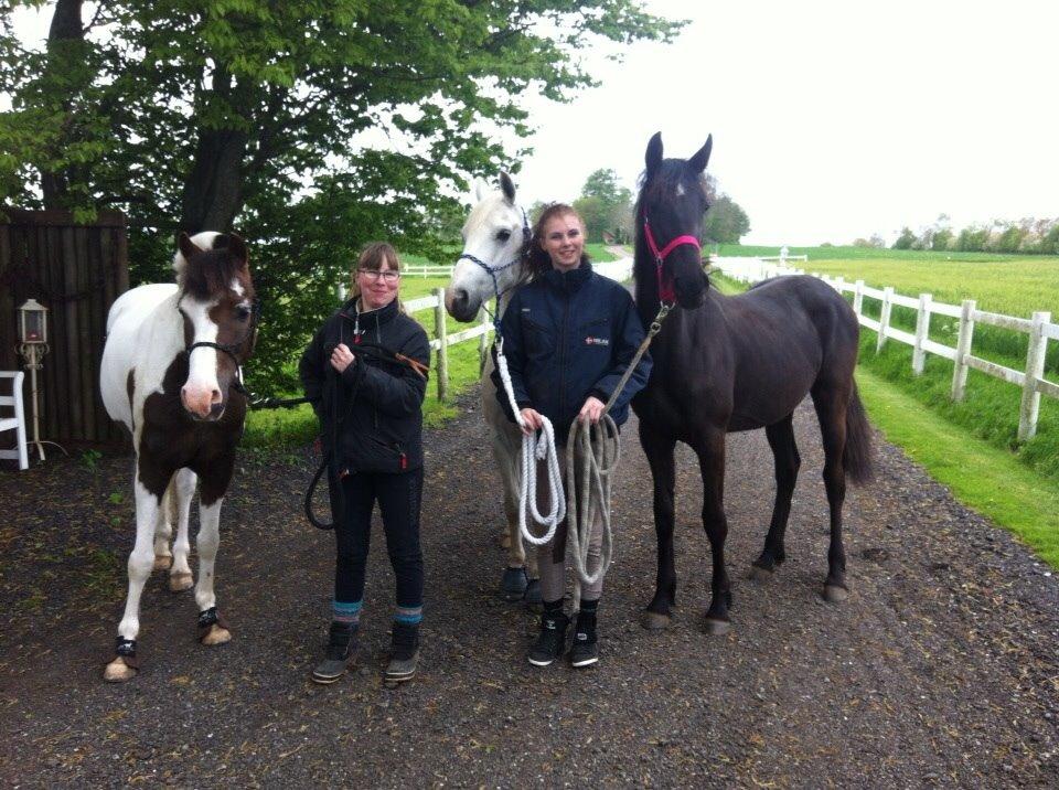 Anden særlig race Farida Arieke  billede 5