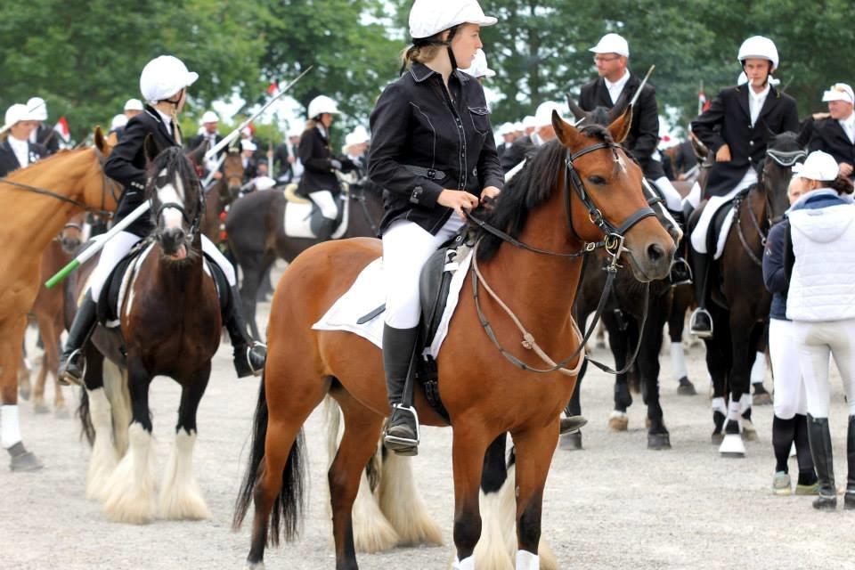 Anden særlig race Kit Kat (Stjerneponyen<3) - Sønderborg Ringridning 2014 (første gang Kitte var med til Ringridning) billede 23