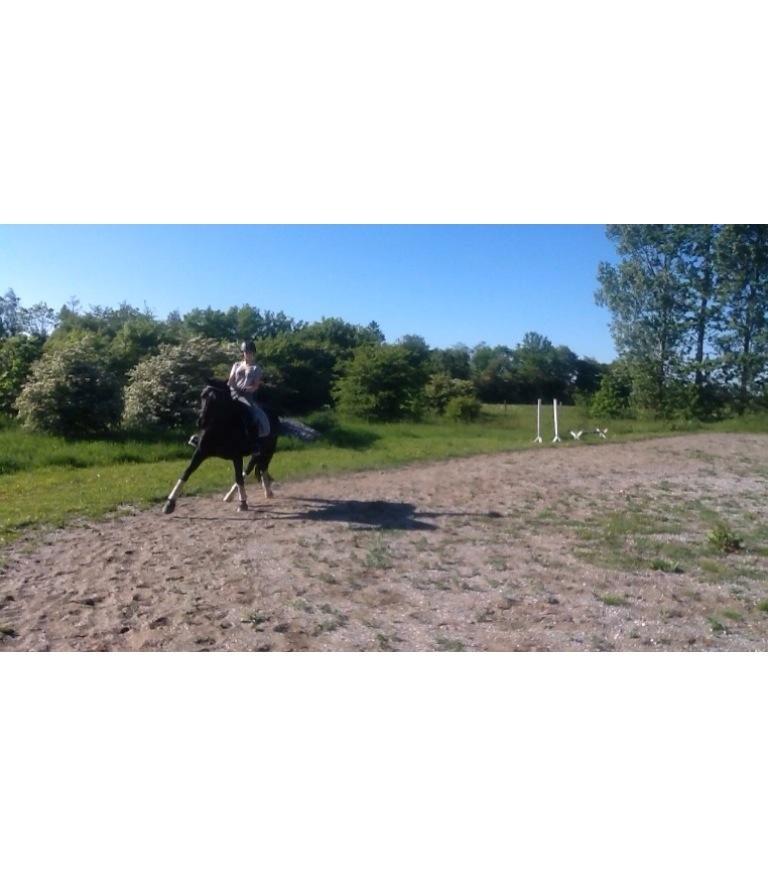 Oldenborg Tiara Hedegaard billede 6