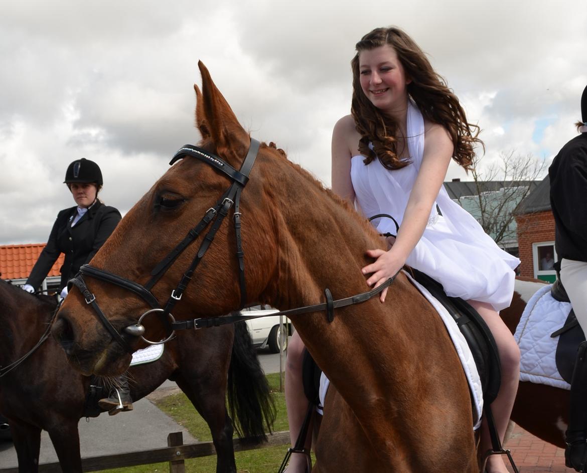 Anden særlig race Charming Sahlina - 27-4-2013 prinsessen til min konfi billede 14