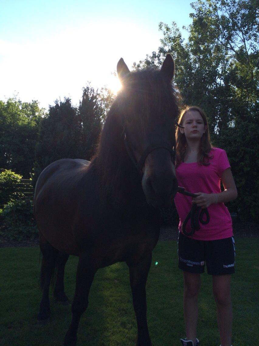 Anden særlig race Sölvi tideligere Ismeal billede 3