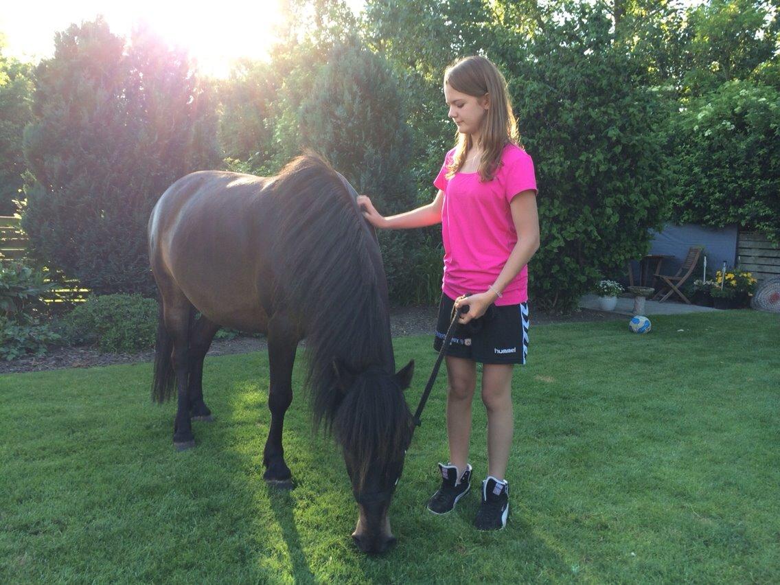 Anden særlig race Sölvi tideligere Ismeal - Første gang i haven!! (y) billede 4