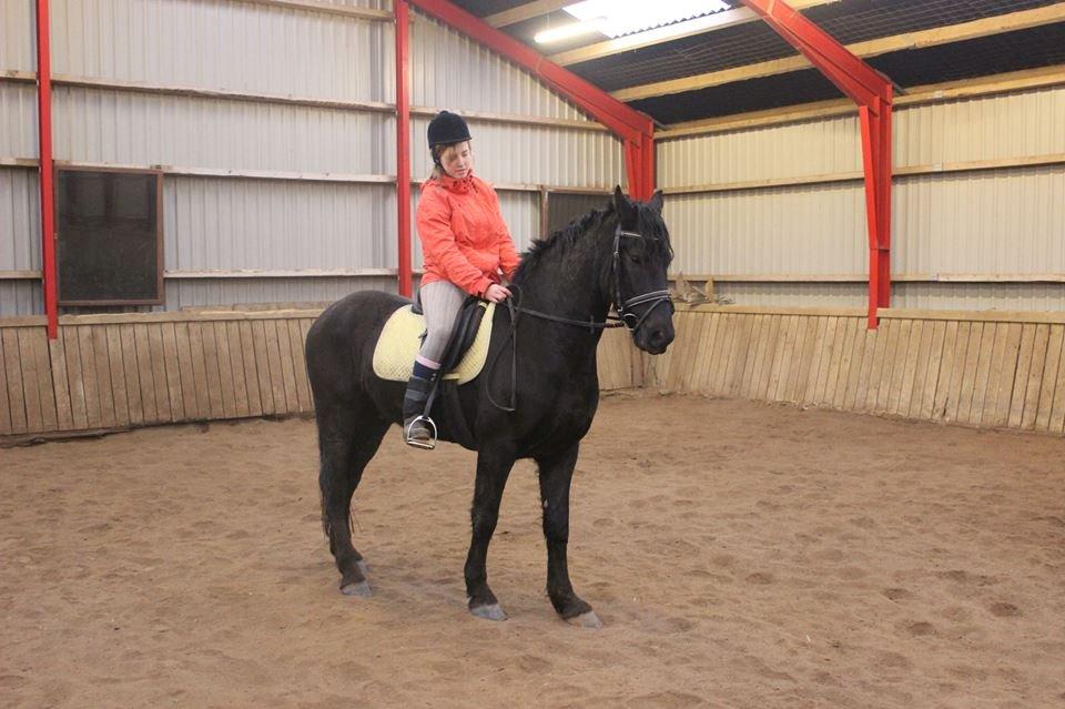 Frieser Jack Whiskey (Bassen <3) - Her havde jeg ikke part på ham mere, men var oppe at sidde på ham december 2013 for første gang underlig følelse ;0 billede 2