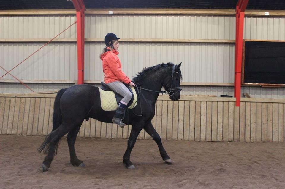 Frieser Jack Whiskey (Bassen <3) - december 2013 billede 22