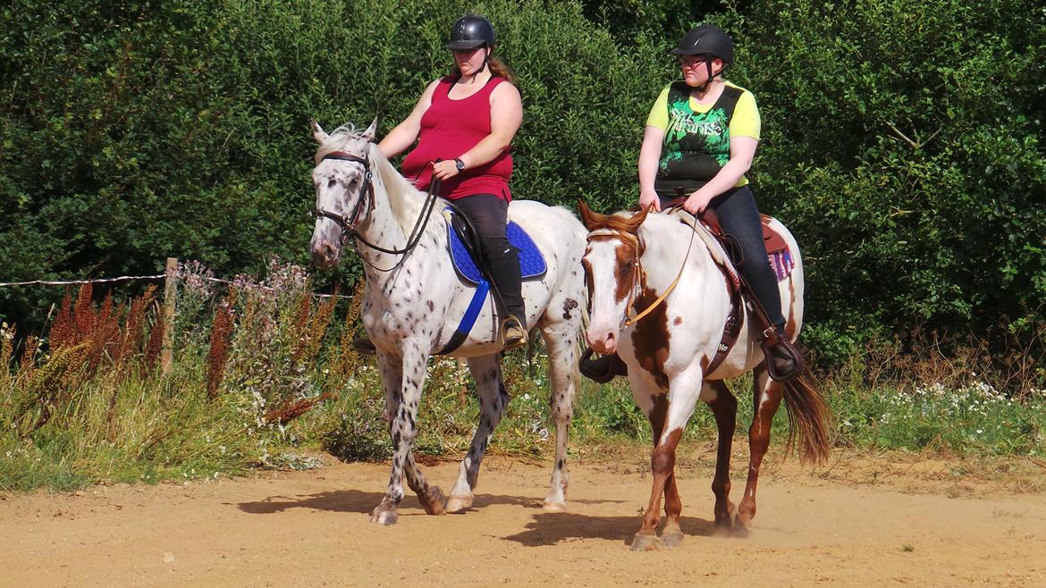 Paint SUPREME MEGA SNOW billede 13