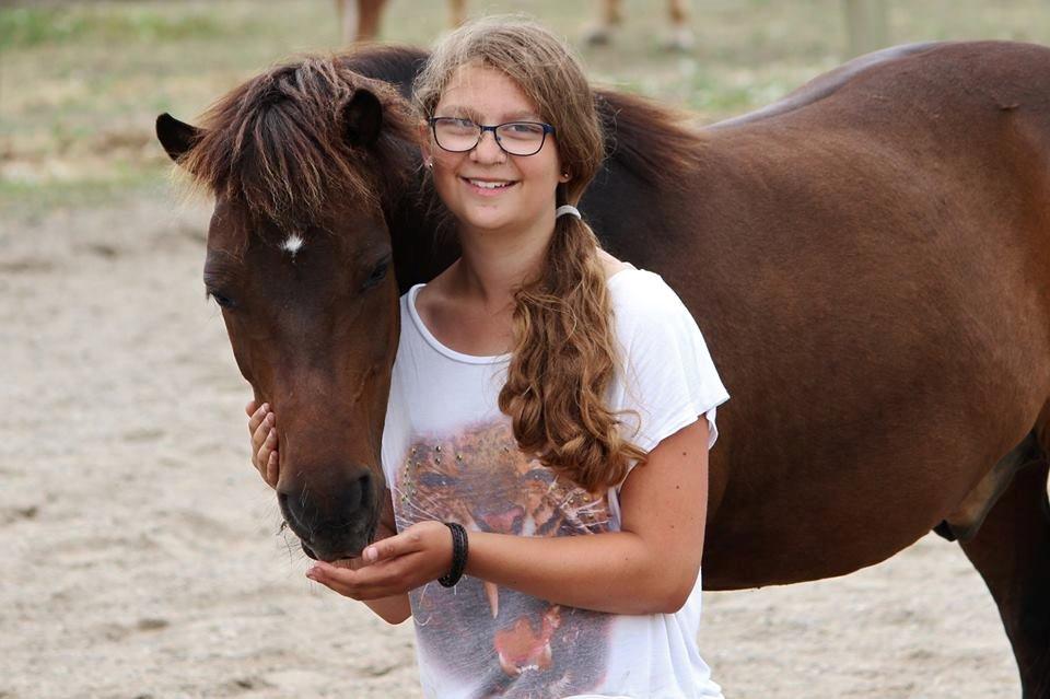 Shetlænder Sofus billede 2