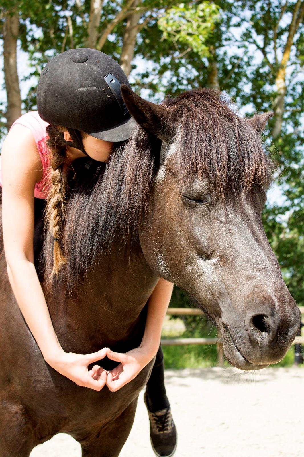 Islænder Stülka •Det tykke dyr• [Tidl. part] - 18/06-14# Jeg elsker mit ponydyr <3 billede 1