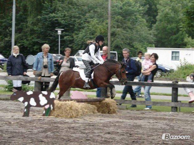 Anden særlig race Wendy *Himmelhest* [RIP] - Mit sidste stævne på prinsesse pigen! billede 11