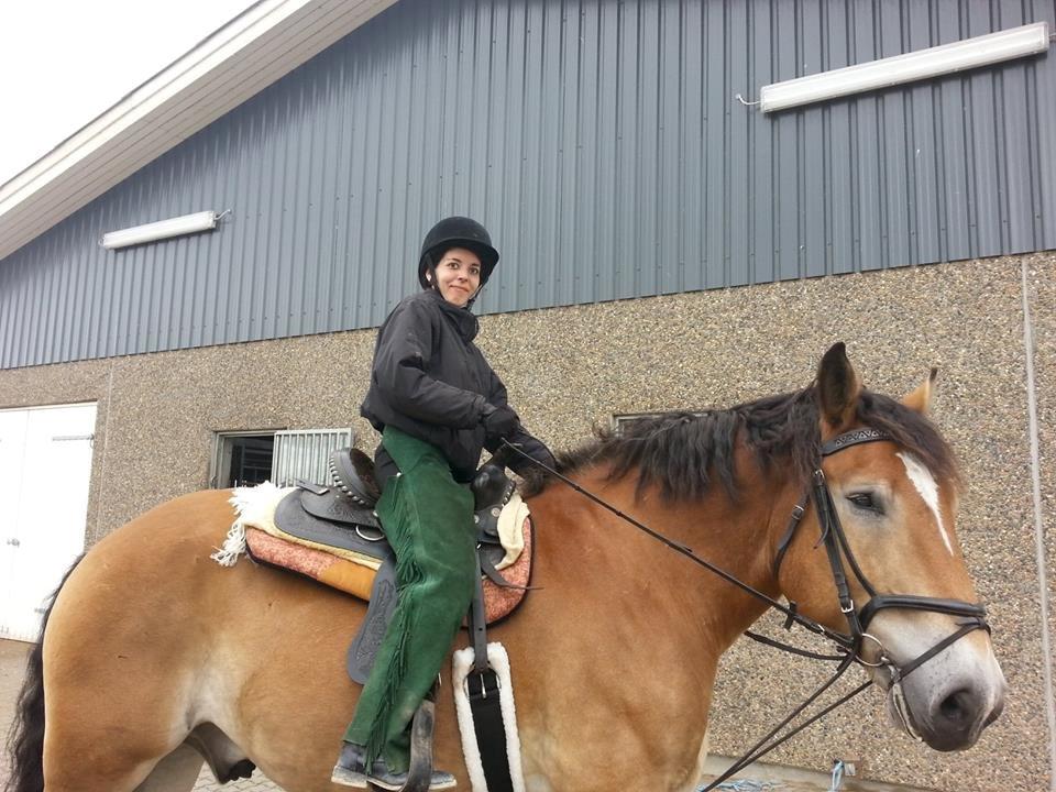 Ardenner Arne billede 11