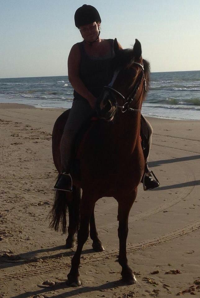 New Forest Odbjergs Amelie billede 27