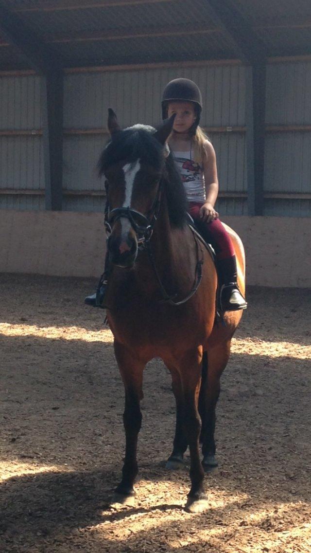 New Forest Odbjergs Amelie billede 28