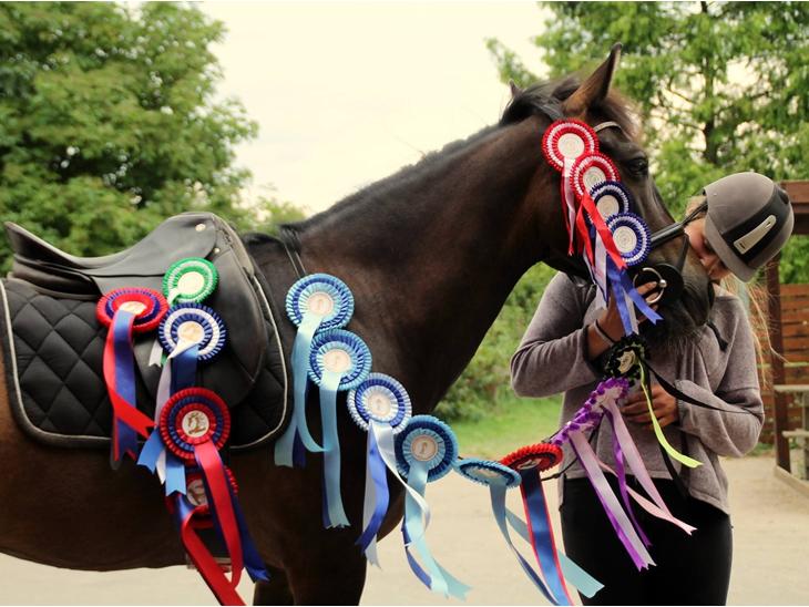 {{currentPhoto.altText}} billede {{currentPhoto.number}}