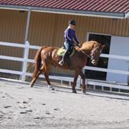 Frederiksborg Argo Toftegård
