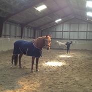 Frederiksborg Argo Toftegård