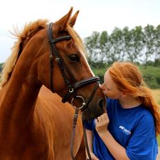 DSP Nørretelling's Ballou