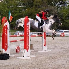 Anden særlig race Clements Stardust |*MY STAR*|