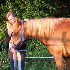 Anden særlig race Chance