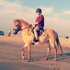 Anden særlig race Baby aka. Tino Von Rebel