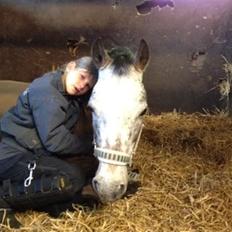 Appaloosa Rowena N (Kimi)