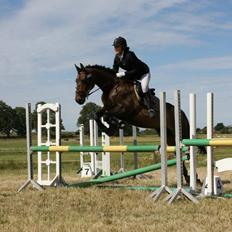 Anden særlig race Miss Fine Bine
