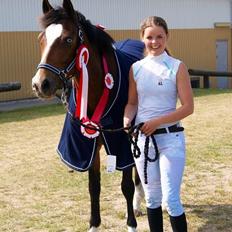 Tysk Sportspony Emira C *A-pony*