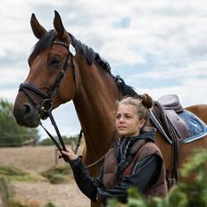 Dansk Varmblod Pinvigs Gambler -FAR's-