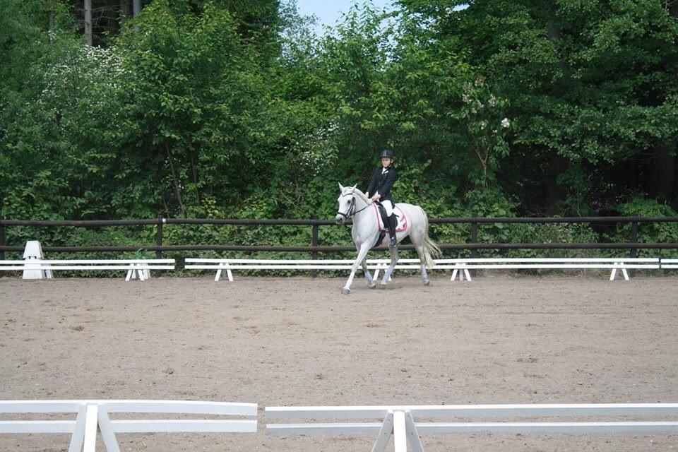 Anden særlig race Acia's Chanell billede 7