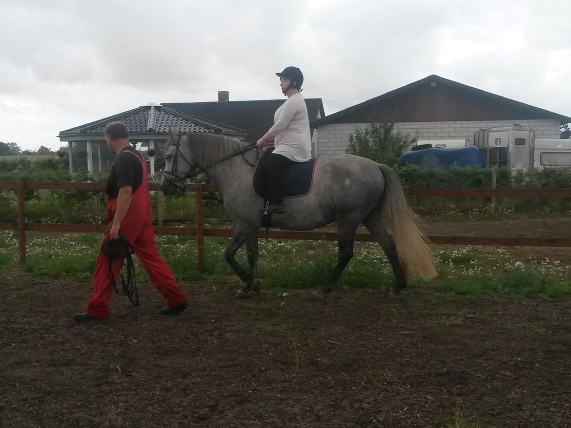 Lipizzaner Fantasia - 290 - 13/7 2014: Mig, der skridter uden at blive trukket for 1. gang :) billede 18