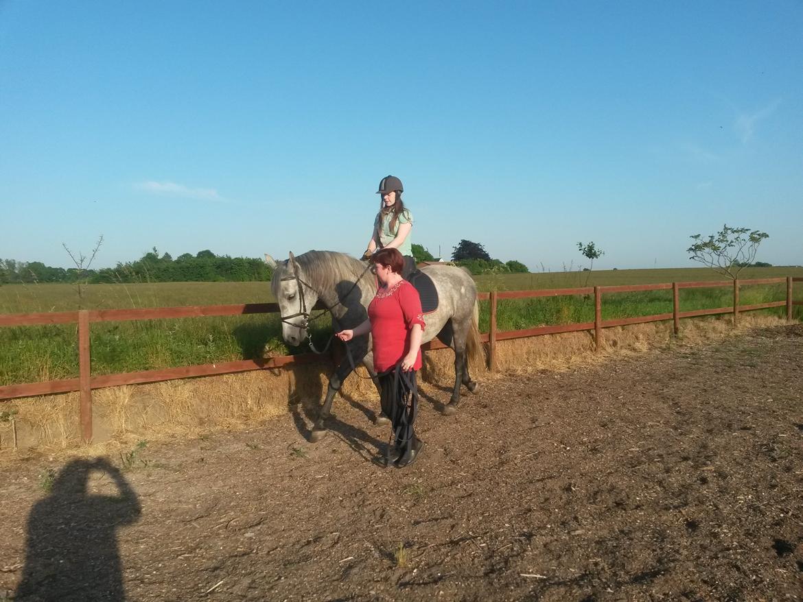 Lipizzaner Fantasia - 290 - 10/6 2014: Julie, 1. gang på ryggen af Fanny billede 20