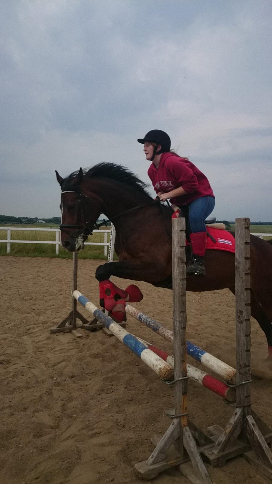 Anden særlig race Lakie billede 18